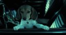 preview John Wick - DVD