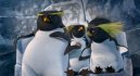 preview DIVOKÉ VLNY - Blu-ray