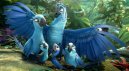 preview Rio 2 - Blu-ray