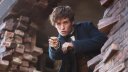 preview Fantastic Beasts and Where to Find Them - 4K Ultra HD Blu-ray + Blu-ray (2BD)