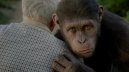 preview Rise of the Planet of the Apes - DVD