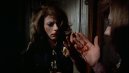 preview The Tenant - DVD