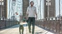 preview John Wick 2 - DVD