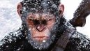 preview War for the Planet of the Apes - DVD