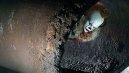 preview To (2017) - DVD