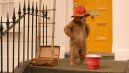 preview Paddington 2 - DVD