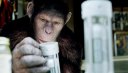 preview Rise of the Planet of the Apes - Blu-ray