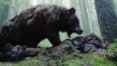 preview The Revenant - Blu-ray