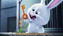 preview Tajný život mazlíčků - Blu-ray 3D + 2D (2 BD)