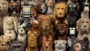 preview Isle of Dogs - Blu-ray