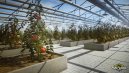 preview Pure Farming - PC