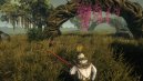 preview Outward - PC