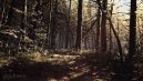 preview Blair Witch - PC