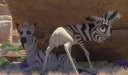 preview Khumba - DVD