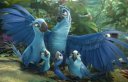 preview RIO 2 - DVD