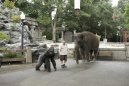preview The Zookeeper - Blu-ray