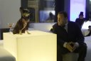 preview The Zookeeper - Blu-ray