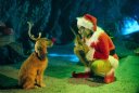 preview How the Grinch Stole Christmas - Blu-ray