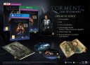 preview Torment: Tides of Numenera - Day One Edition - PS4