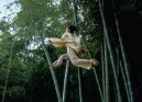 preview Crouching Tiger, Hidden Dragon - Blu-ray