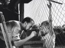preview The White Dove - Blu-ray + DVD