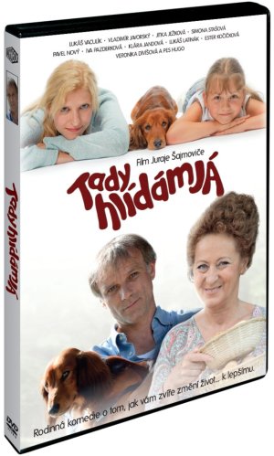 Tady hlídám já - DVD