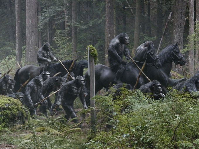 detail War for the Planet of the Apes - DVD