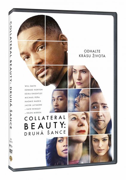 detail Collateral Beauty: Druhá šance - DVD