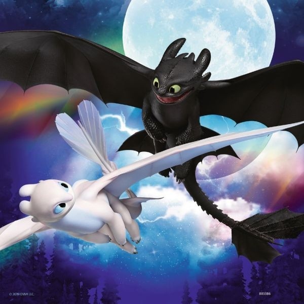 detail How to Train Your Dragon: The Hidden World - DVD