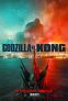 náhled Godzilla vs. Kong - DVD