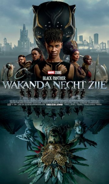 detail Black Panther: Wakanda Forever - DVD