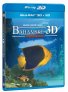 náhled Bahamské dobrodružství: záhadné jeskyně a vraky - Blu-ray 3D + 2D