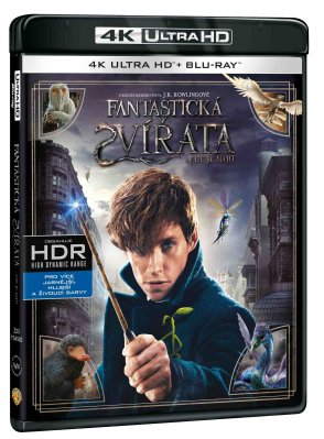 Fantastic Beasts and Where to Find Them - 4K Ultra HD Blu-ray + Blu-ray (2BD)