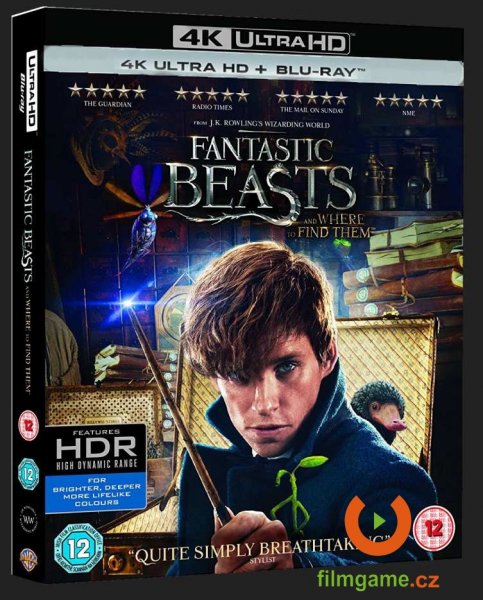detail Fantastic Beasts and Where to Find Them - 4K Ultra HD Blu-ray + Blu-ray (2BD)