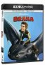 náhled How to Train Your Dragon - 4K Ultra HD Blu-ray + Blu-ray (2BD)