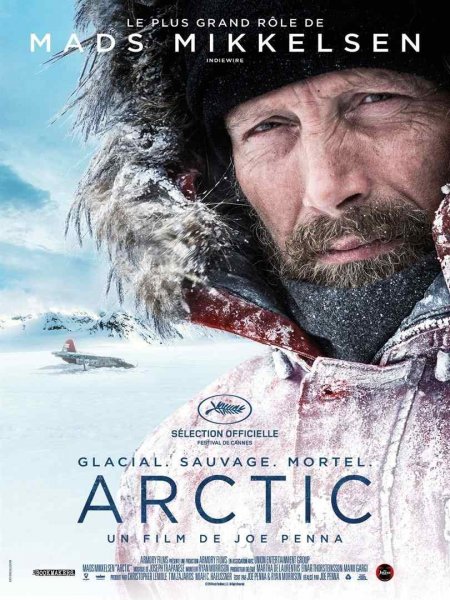 detail Arctic - Blu-ray